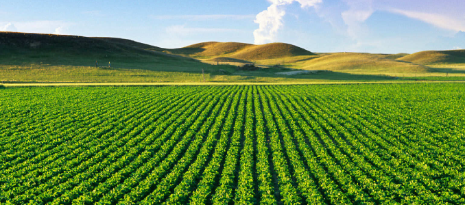 banner_agriculture