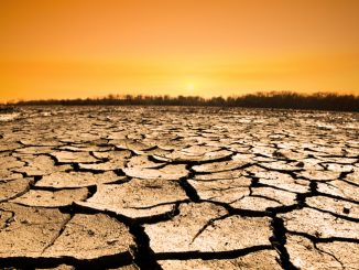 Réchauffement climatique : La chaleur extrême risque de rendre l'Asie du sud invivable d'ici 2100