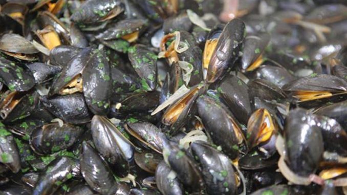 coquillages