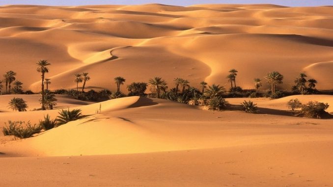 oasis-desert-marocain-111318