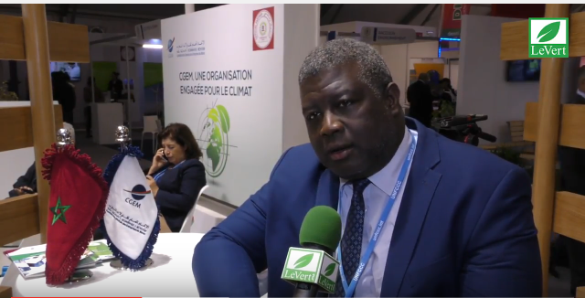 cgem-cop22