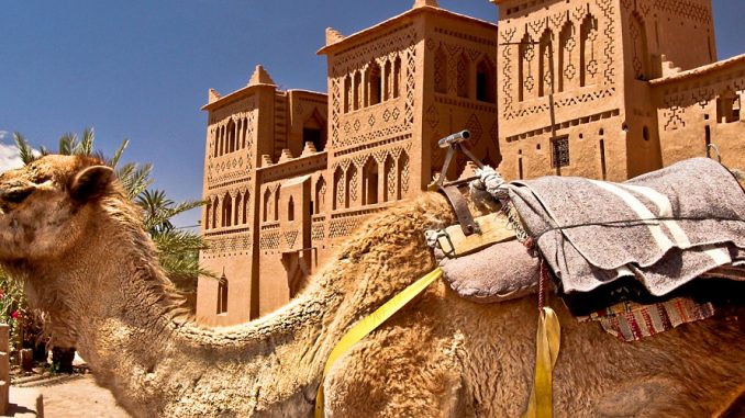 ouarzazate-maroc-morocco-national-tour-travel-voyage-tourisme-tourism