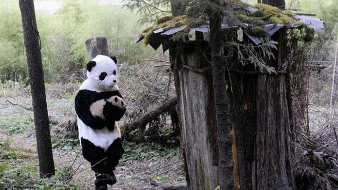 protection des animaux en Chine