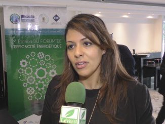 Mme Ghizlaine NOURLIL, Senior Project Manager Finance Durable au sein de la BMCE BANK