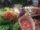 Marché Nature & Éveil à Rabat Agdal