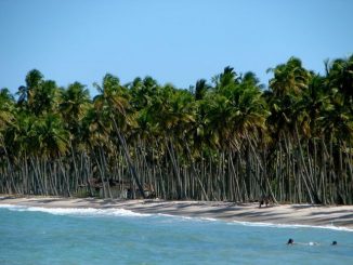 îles paradisiaques