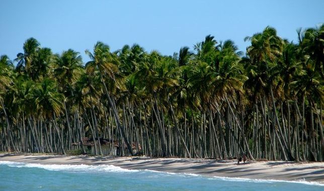 îles paradisiaques