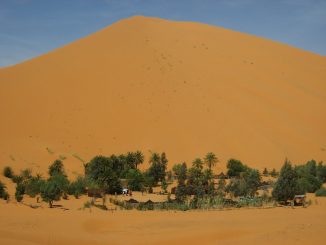 Oasis à Merzouga