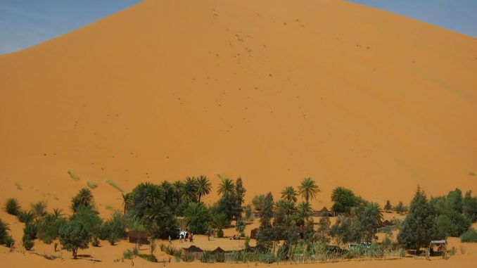 Oasis à Merzouga Oasis à Merzouga