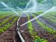 Agriculture durable : Projets d'irrigation