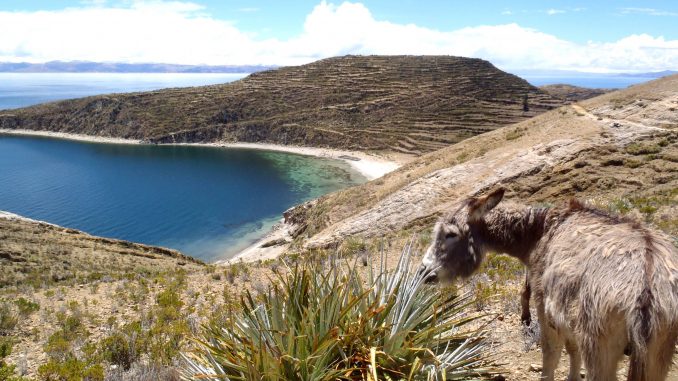 La biodivesrité au Maroc