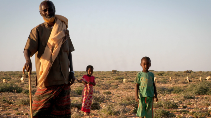 la sécheresse en Somalie / Photos: Said Isse, PNUD en Somalie