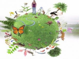 Le 22 Mai : CÉLÉBRATION DE LA JOURNÉE INTERNATIONALE DE LA DIVERSITÉ BIOLOGIQUE