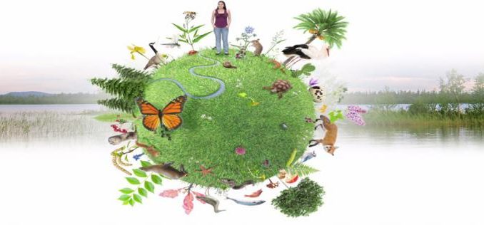 Le 22 Mai : CÉLÉBRATION DE LA JOURNÉE INTERNATIONALE DE LA DIVERSITÉ BIOLOGIQUE Le 22 Mai : CÉLÉBRATION DE LA JOURNÉE INTERNATIONALE DE LA DIVERSITÉ BIOLOGIQUE
