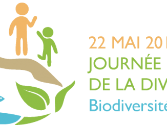 journée mondiale de la biodiversité