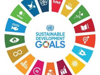 le Forum régional d’Afrique sur le Développement durable 2017