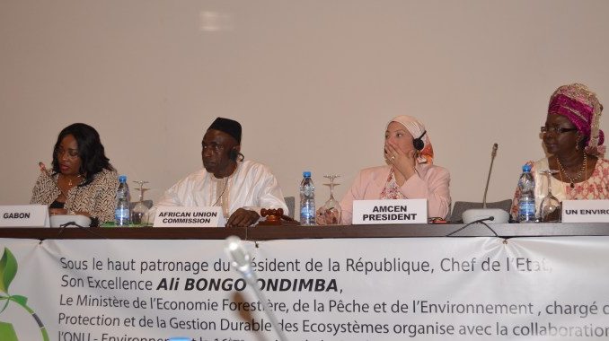Conférence ministérielle africaine de l’environnement
