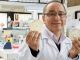 Adnane Remmal a remporté le prix du public de l’inventeur européen de 2017 pour ses antibiotiques tirés de la nature