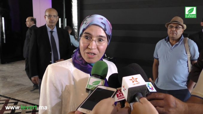 نزهة الوفي، كاتبة الدولة المكلفة بالتنمية المستدامة