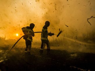 Incendies en Corse et dans le Sud-Est de la France