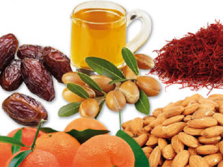 Terroir Marocain