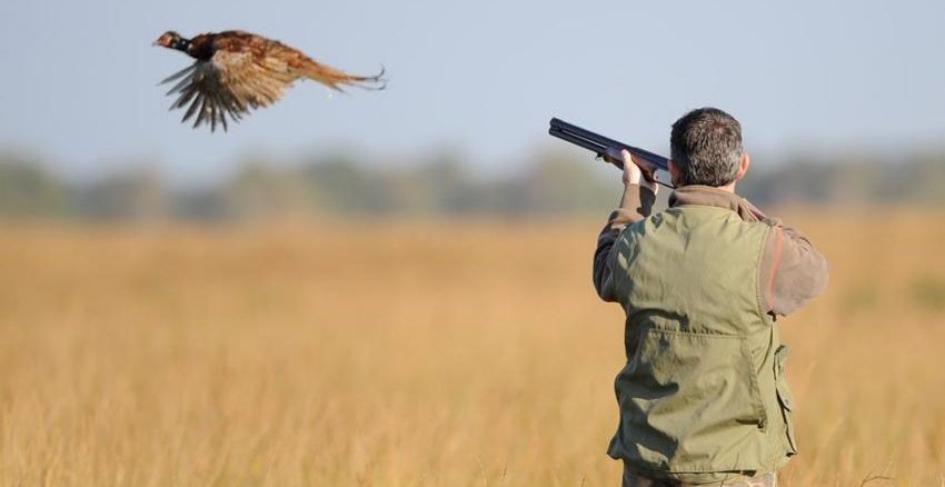 La saison de la chasse est déclarée ouverte