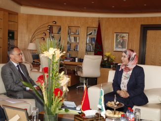 Réunion de travail de Madame Nezha EL OUAFI, et Monsieur José Humberdo de Brilo Cruz, Ambassadeur du Brésil