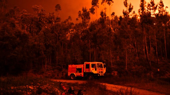 Incendies de forêts