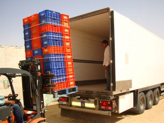 les exportations de fruits et légumes frais