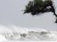 Les Caraïbes et la Floride sous la menace d'Irma