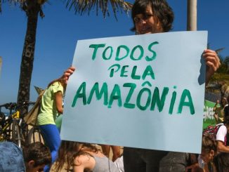 Le Brésil annule un permis d'exploitation minière d'une réserve d'Amazonie