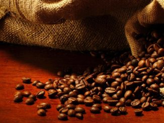 Le réchauffement climatique menace la production de café