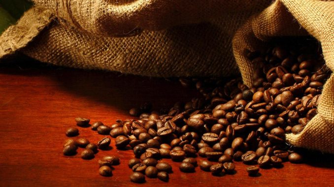 Le réchauffement climatique menace la production de café