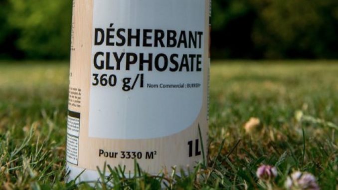 Glyphosate: la bataille du diagnostic sanitaire