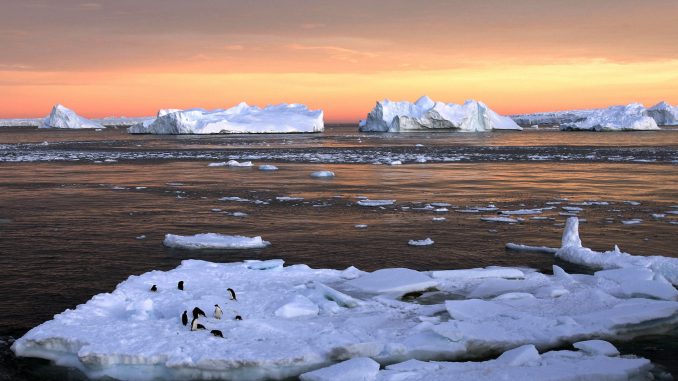 Climat: la concentration de CO2 dans l'atmosphère atteint un record
