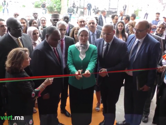 Pollutec Maroc : Nezha El Ouafi inaugure l'édition 2017