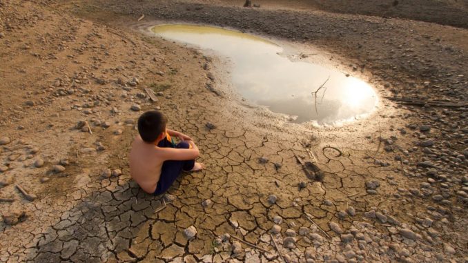 changement climatique LeVert