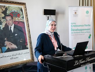 السيدة نزهة الوافي كاتبة الدولة المكلفة بالتنمية المستدامة