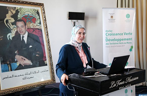 السيدة نزهة الوافي كاتبة الدولة المكلفة بالتنمية المستدامة السيدة نزهة الوافي كاتبة الدولة المكلفة بالتنمية المستدامة