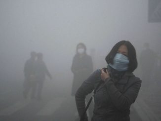 Chine : Alerte jaune au brouillard