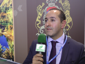 Badr Ikken, Directeur Général de l'Institut de Recherche en Energie Solaire et Energies Nouvelles (IRESEN)