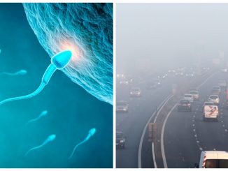 Fertilité et pollution