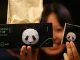 Les excréments de panda recyclés en mouchoir