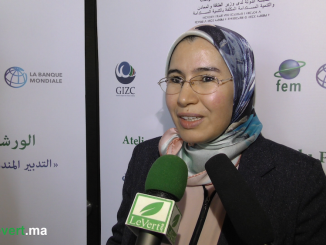 Nezha ELOUAFI, Secrétaire d’Etat chargée du Développement Durable