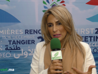 Sonia Mezzour, Secrétaire Générale de l’Agence Marocaine de l’Efficacité Energétique (AMEE)
