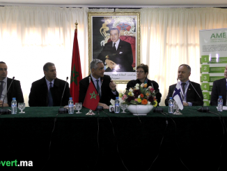 Said Mouline Directeur Général de l'AMEE et Anne Vasara ambassadrice de la Finlande au Maroc