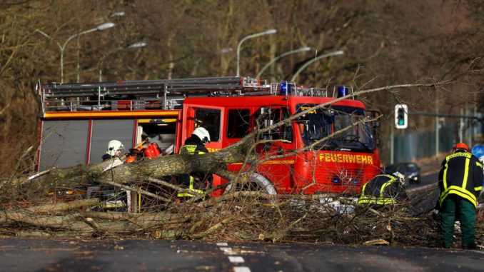 Tempête David/Friederike: Neuf morts en Europe du Nord, les transports paralysés Tempête David/Friederike: Neuf morts en Europe du Nord, les transports paralysés