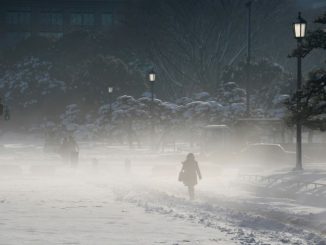 Japon: Les services d'urgence débordés dans un Tokyo glacial