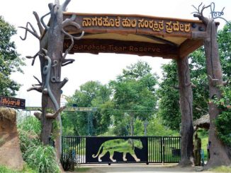 le parc national Bandipur à Karnataka