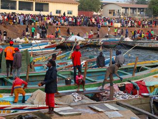La pêche en Afrique